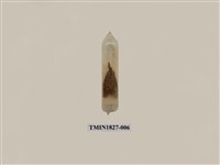 藏品(避債蛾)的圖片